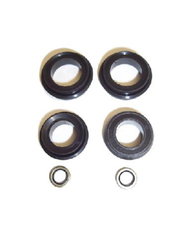 Righetti Ridolfi Caliper Seals