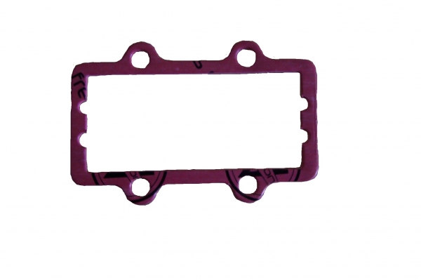 IAME X30 Reed Block Gasket Outer