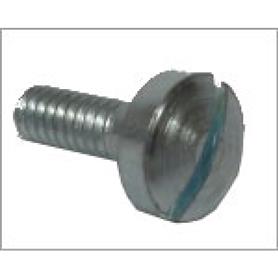 Iame Tillotson Top Screw