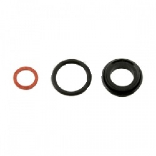 Righetti Ridolfi Master Cylinder Seal Kit