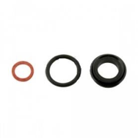 Righetti Ridolfi Master Cylinder Seal Kit