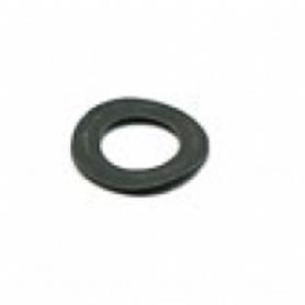 Rotax Evo Power Valve Spring Washer B6