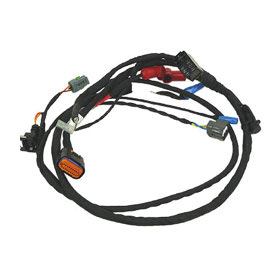 Rotax Evo Wiring Loom