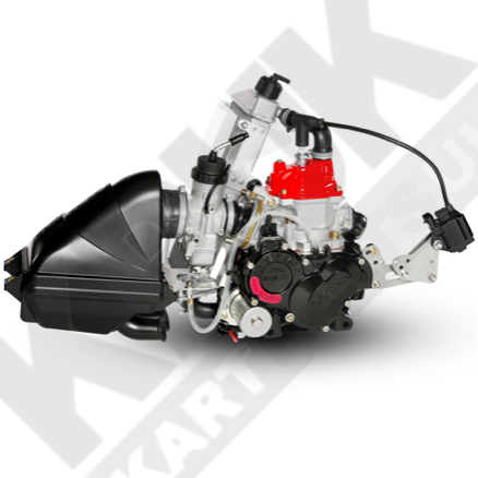 Rotax Max Evo Junior Engine