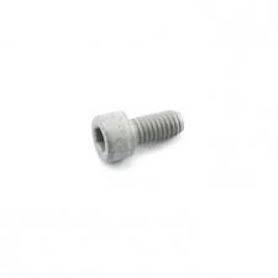 Rotax Clutch Bolts for New Style Clutch