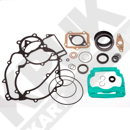 Engine Gasket Set