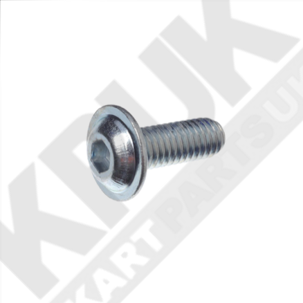 Radiator Fixing Screw