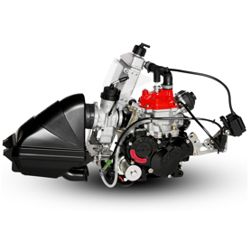 Rotax Max Evo Senior Engine